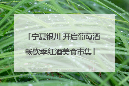 宁夏银川 开启葡萄酒畅饮季红酒美食市集