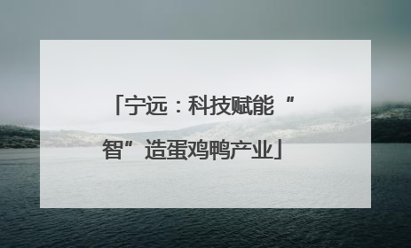 宁远：科技赋能“智”造蛋鸡鸭产业