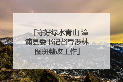 守好绿水青山 漳浦县委书记督导涉林图斑整改工作