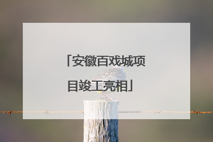 安徽百戏城项目竣工亮相