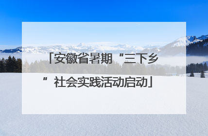 安徽省暑期“三下乡”社会实践活动启动
