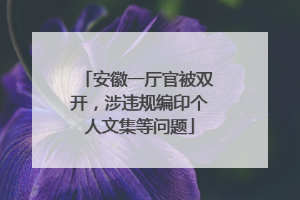安徽一厅官被双开，涉违规编印个人文集等问题