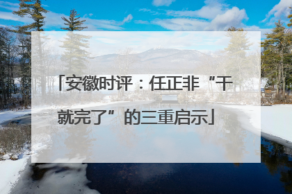 安徽时评：任正非“干就完了”的三重启示