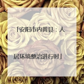 安阳市内黄县：人居环境整治进行时