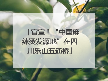 官宣！“中国麻辣烫发源地”在四川乐山五通桥
