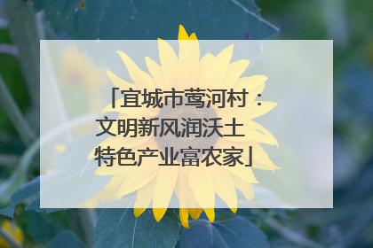 宜城市莺河村：文明新风润沃土 特色产业富农家