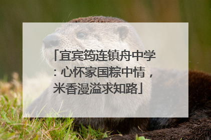 宜宾筠连镇舟中学：心怀家国粽中情，米香漫溢求知路
