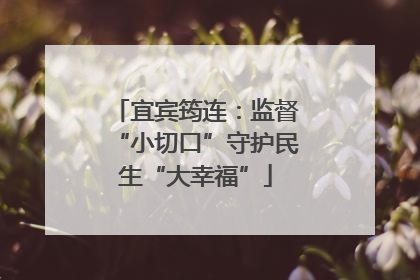 宜宾筠连：监督“小切口”守护民生“大幸福”