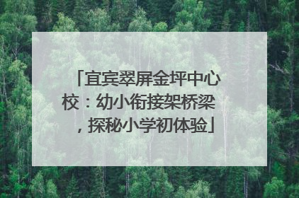 宜宾翠屏金坪中心校：幼小衔接架桥梁，探秘小学初体验