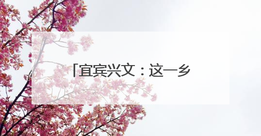 宜宾兴文：这一乡镇以创新种植模式拓宽“增收路”