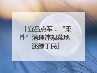 宜昌点军：“柔性”清理违规菜地 还绿于民
