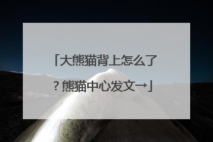 大熊猫背上怎么了？熊猫中心发文→