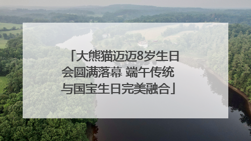 大熊猫迈迈8岁生日会圆满落幕 端午传统与国宝生日完美融合