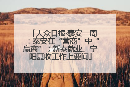 大众日报·泰安一周：泰安在“营商”中“赢商”；新泰就业、宁阳夏收工作上要闻