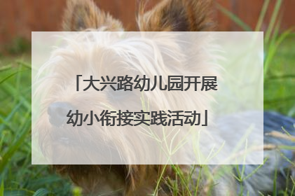大兴路幼儿园开展幼小衔接实践活动