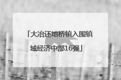大冶还地桥镇入围镇域经济中部16强
