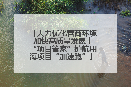 大力优化营商环境 加快高质量发展丨“项目管家”护航用海项目“加速跑”