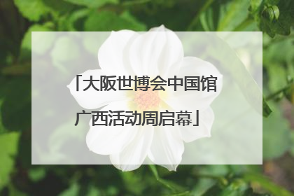 大阪世博会中国馆广西活动周启幕