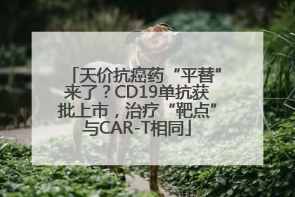 天价抗癌药“平替”来了？CD19单抗获批上市，治疗“靶点”与CAR-T相同