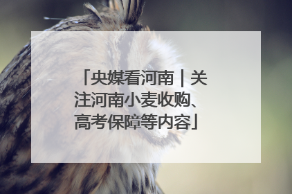 央媒看河南｜关注河南小麦收购、高考保障等内容