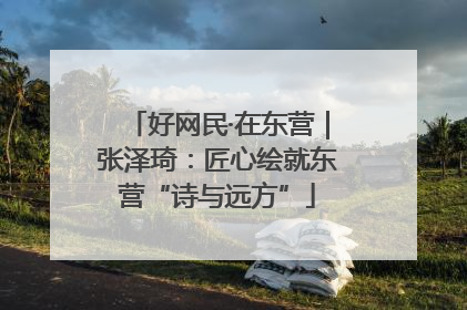 好网民·在东营｜张泽琦：匠心绘就东营“诗与远方”