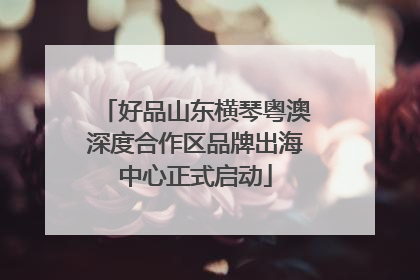 好品山东横琴粤澳深度合作区品牌出海中心正式启动