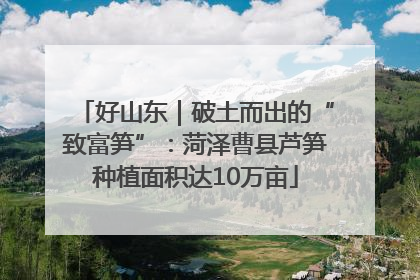 好山东｜破土而出的“致富笋”：菏泽曹县芦笋种植面积达10万亩
