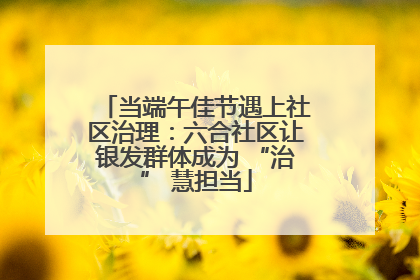 当端午佳节遇上社区治理：六合社区让银发群体成为 “治” 慧担当