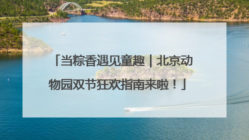 当粽香遇见童趣｜北京动物园双节狂欢指南来啦！
