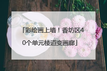 彩绘画上墙！香坊区40个单元楼道变画廊