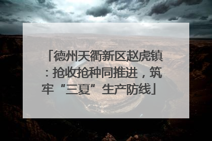 德州天衢新区赵虎镇：抢收抢种同推进，筑牢“三夏”生产防线