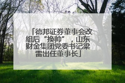 德邦证券董事会改组后“换帅”，山东财金集团党委书记梁雷出任董事长