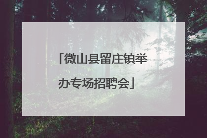 微山县留庄镇举办专场招聘会