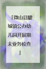 微山县驩城镇公办幼儿园开展期末业务检查