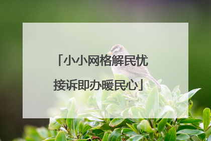 小小网格解民忧 接诉即办暖民心