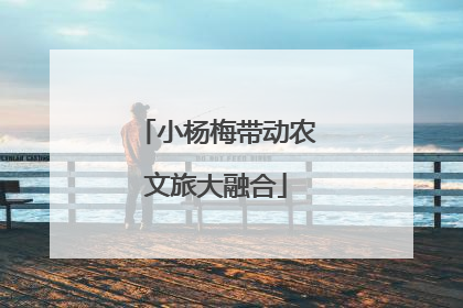 小杨梅带动农文旅大融合