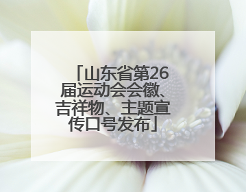 山东省第26届运动会会徽、吉祥物、主题宣传口号发布