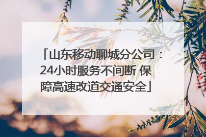 山东移动聊城分公司：24小时服务不间断 保障高速改道交通安全