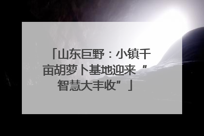 山东巨野：小镇千亩胡萝卜基地迎来“智慧大丰收”