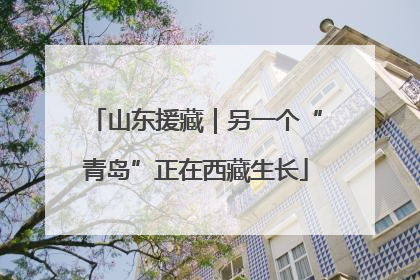 山东援藏｜另一个“青岛”正在西藏生长