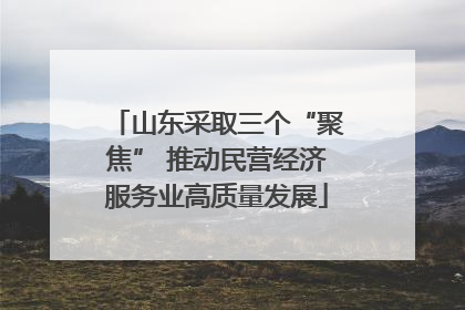 山东采取三个“聚焦” 推动民营经济服务业高质量发展