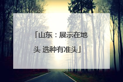 山东：展示在地头 选种有准头