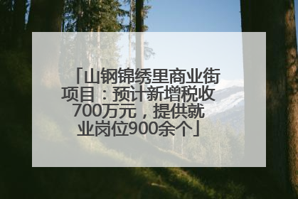 山钢锦绣里商业街项目：预计新增税收700万元，提供就业岗位900余个
