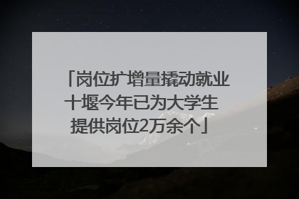 岗位扩增量撬动就业 十堰今年已为大学生提供岗位2万余个