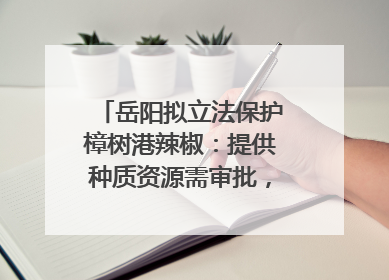 岳阳拟立法保护樟树港辣椒：提供种质资源需审批，违规最高罚5万