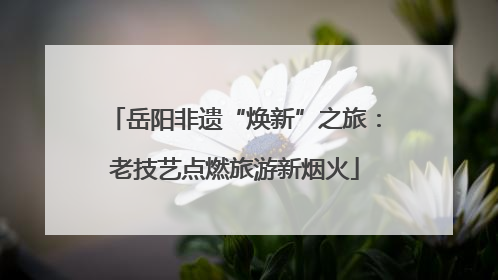 岳阳非遗“焕新”之旅：老技艺点燃旅游新烟火
