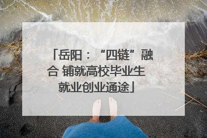 岳阳：“四链”融合 铺就高校毕业生就业创业通途