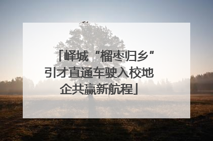 峄城“榴枣归乡”引才直通车驶入校地企共赢新航程