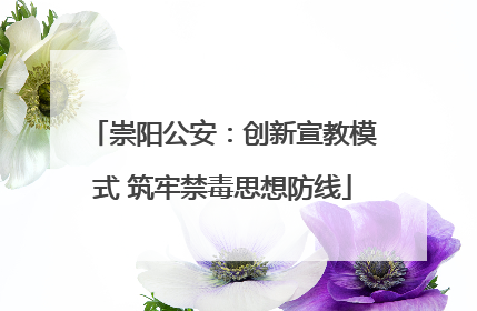崇阳公安：创新宣教模式 筑牢禁毒思想防线