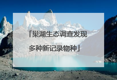 巢湖生态调查发现多种新记录物种